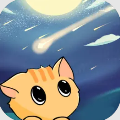 狮子座流星雨
