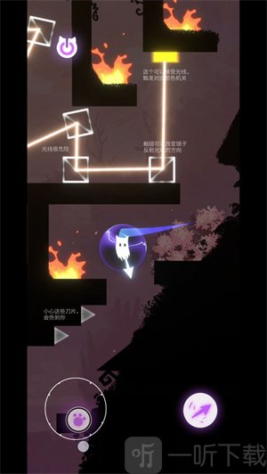 避光者