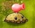 植物大战僵尸融合版2.1.4