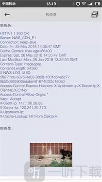 NetCapture