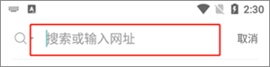 maxthon浏览器