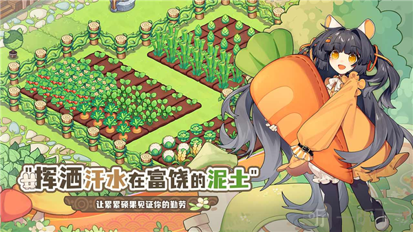 天空岛传说
