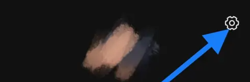 蝙蝠手机版