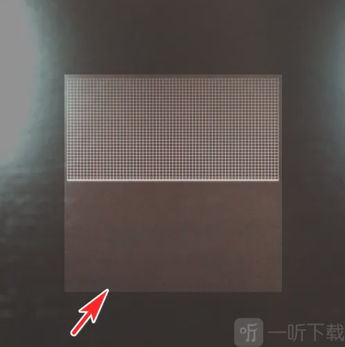 蝙蝠手机版