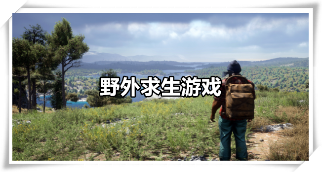 野外求生游戏