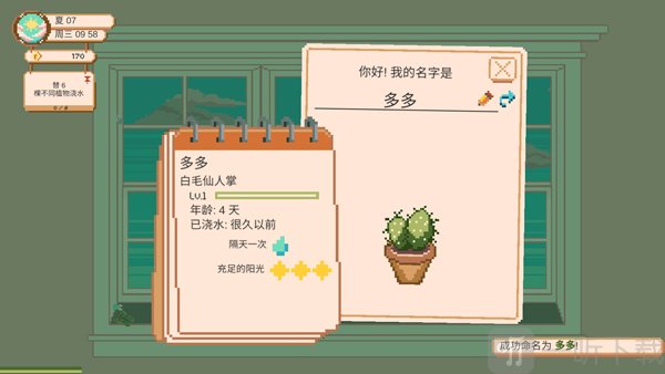 窗口花园