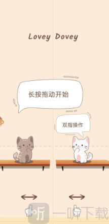 猫咪养成日记