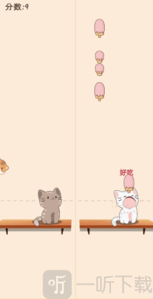 猫咪养成日记