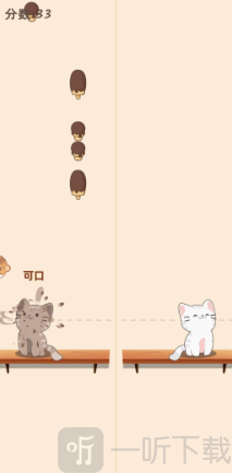 猫咪养成日记