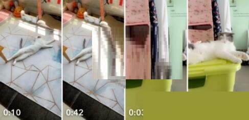 snapchat安卓版