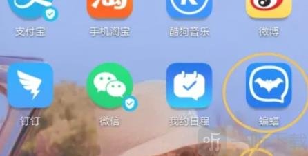 蝙蝠免费版