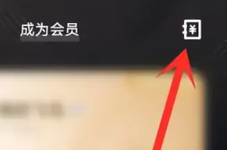 i主题vivo