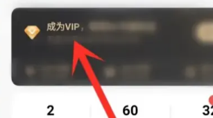 i主题vivo