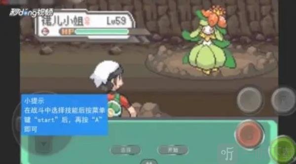 精灵宝可梦绿宝石