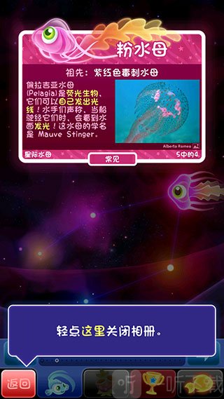 超级星鱼最新版
