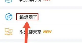 蝙蝠安全聊天免费版