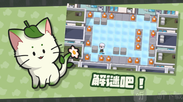 猫咪任务