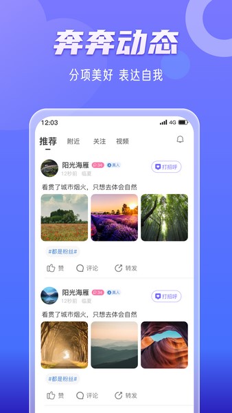 奔奔有你