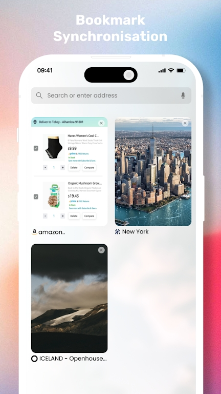 iOS Browser