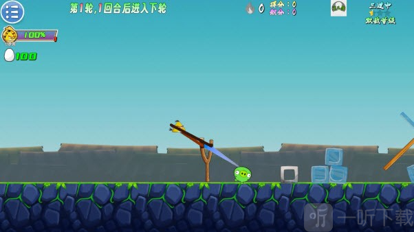 我的鸟生存