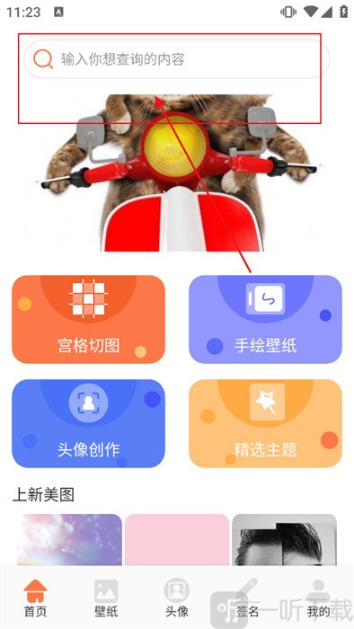 椰蓉壁纸