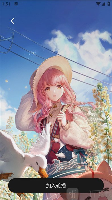 动感画报