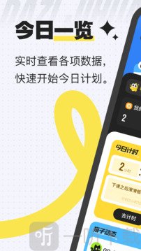 搭子计划2025