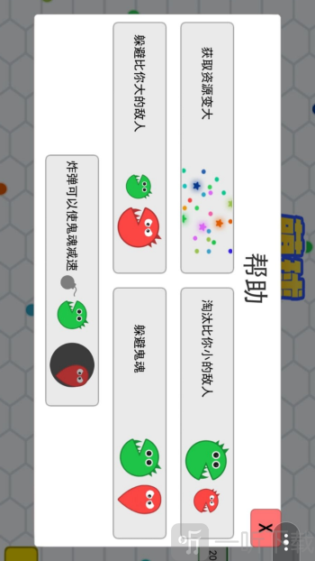 萌球大比拼