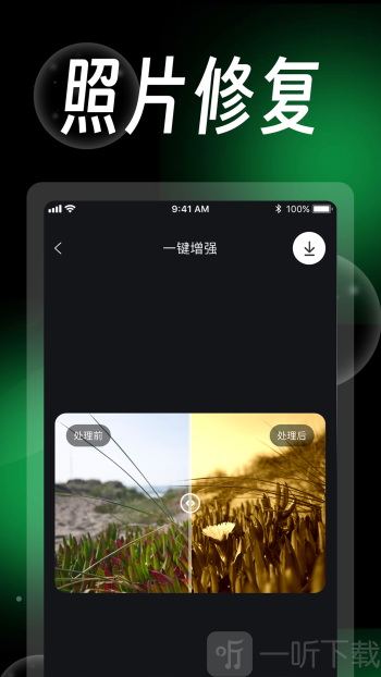 蛋糕云修