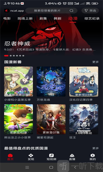 网飞猫