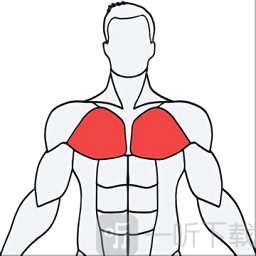 MuscleWiki