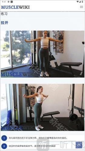 MuscleWiki