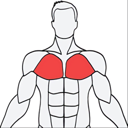MuscleWiki