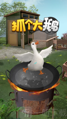 抓个大鹅