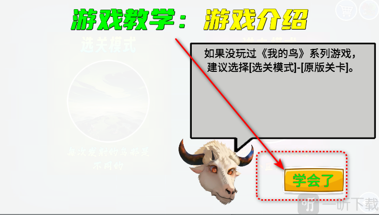 我的鸟随机