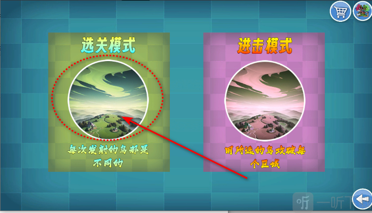 我的鸟随机