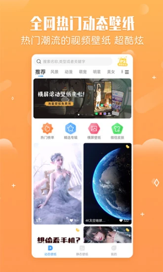360小鸟壁纸