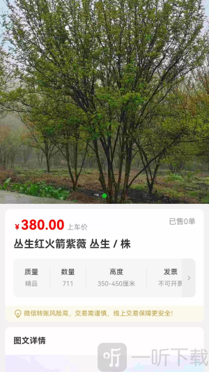 成渝花木交易网