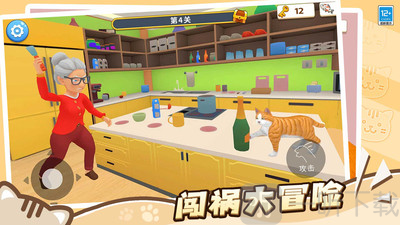 肥猫爱拆家