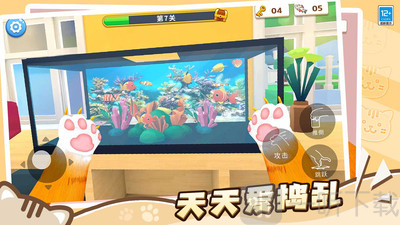 肥猫爱拆家