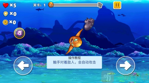 鱿鱼生存淘汰赛