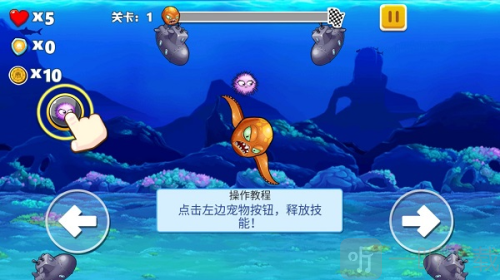 鱿鱼生存淘汰赛