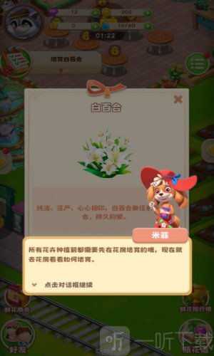 奇光精灵