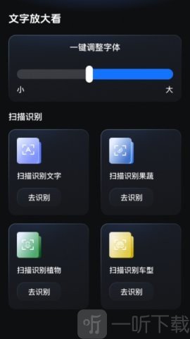 闪亮放大王