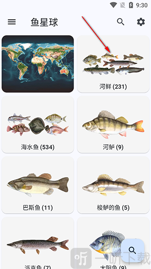 鱼星球