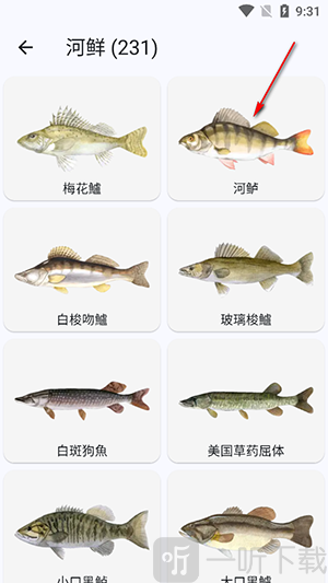 鱼星球