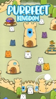 猫王