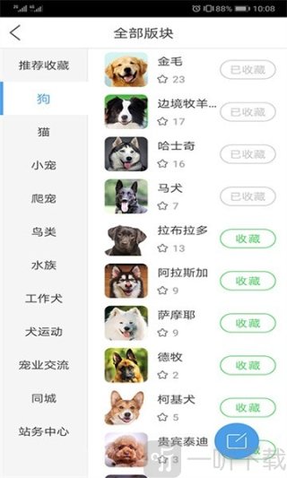 宠物之家