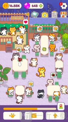 小猫厨房