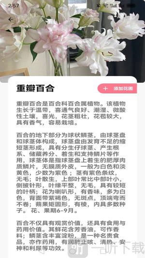 花伴